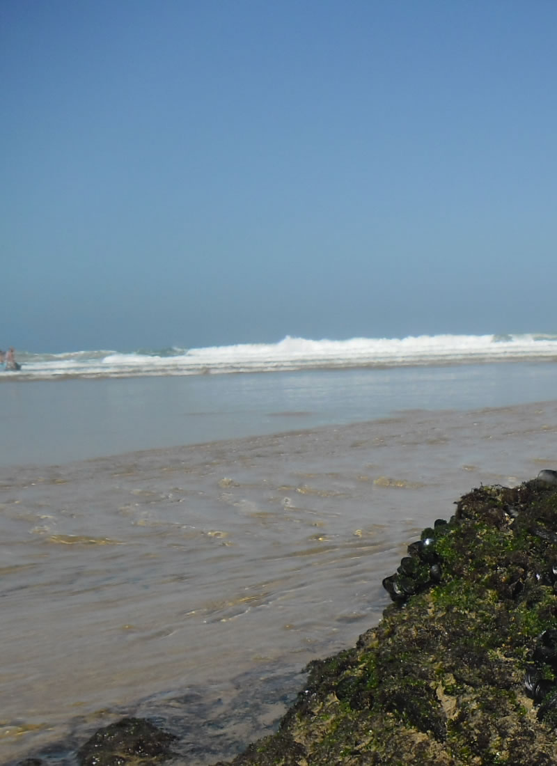 empresa de tinteiros reciclados